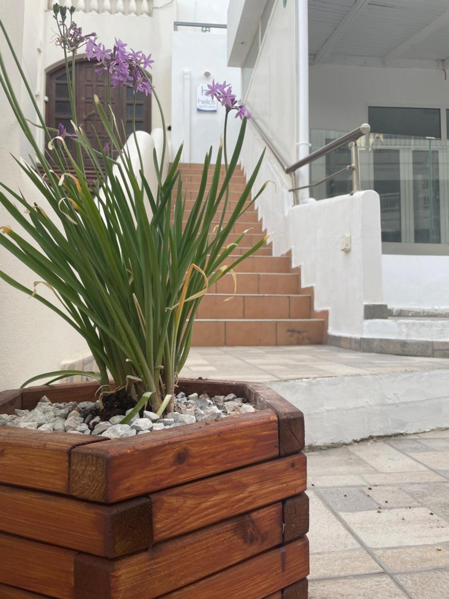 Helios Apartments بلاكاس المظهر الخارجي الصورة